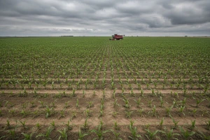Monsanto: Kvartalni gubitak 229 mil. dolara