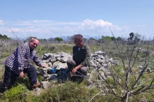 Mungosi na Čiovu: Maleni predatori napadaju perad, pernatu divljač i ne samo njih