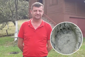 Mrka medvjedica usmrtila pet ovaca i dvoje janjadi