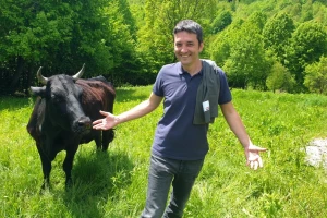 Uzgoj japanskih goveda početak je investicije vizionara - u srcu Hrvatske radi malu Švicarsku