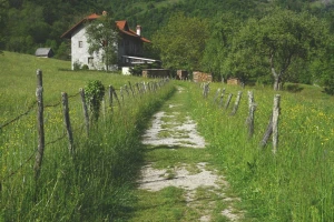 Raspisan prvi natječaj za ulaganja u nepoljoprivredne djelatnosti, potpore i do 200.000 eura!