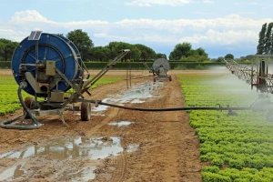 Županija će prijaviti još 4 sustava za navodnjavanje za 1.573 hektara!
