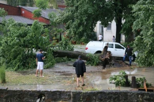 Tuča poharala vinograde, pšenicu i kukuruz!