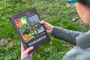 Od vrtne gredice do profesionalnog uzgoja: Sveobuhvatni vodič kroz suvremeno povrćarstvo