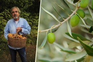 Legendarni urednik okrenuo se poljoprivredi - koje je sorte odabrao Đelo Hadžiselimović?