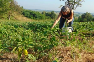 Dubravka Vidmar: Ako nešto zaista želite, skupite hrabrosti i krenite - nikad nije kasno za novi početak