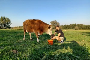 Za sir s OPG-a Rajaković čeka se u redu, ključ je u kvalitetnoj hranidbi