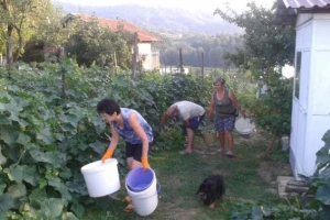 Neće nitko delat, svi bi radili na tipku i s klimom iza leđa