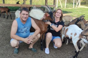 Otišli po jednu kozu, doveli dvije i jarca, OPG Manuele Babić danas je poznat i po kozjem siru