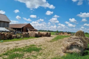 Malim OPG-ovima s potpomognutih područja osigurano dodatnih 10 milijuna kuna
