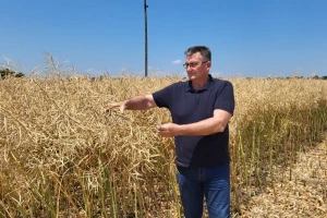 Konzervacijska obrada tla i ekološki pristup kao odgovor na klimatske izazove