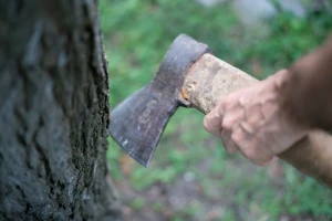 Optužili ga da krade drva iz šume, on nasrnuo sjekirom