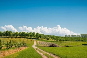 Za organsku proizvodnju koristimo 5,72% površine