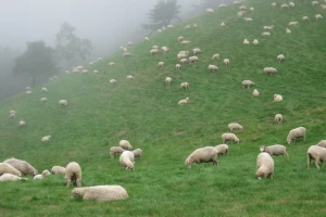 Većinom oblačno s povremenom kišom!