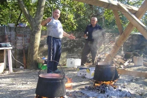 Manji paušal za OPG - poticaj povezivanju poljoprivrede i turizma