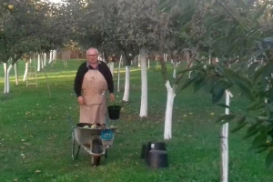 U deset godina spasili od izumiranja 1.400 sorti starih voćaka