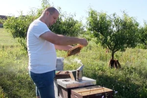 Med ove godine pod velikim upitnikom - Ivanu Boškoviću zadnja šansa zelena gnojidba