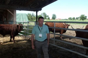 Salersi na paši, mliječne krave u štali, kokice u dvorištu - svakodnevica Perčecovih