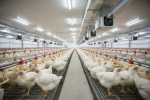 Perutnina Ptuj dokapitalizirana sa 40 milijuna eura