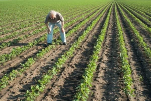 Tečaj o rukovanju pesticidima u Vinkovcima