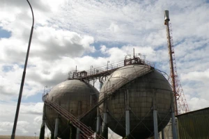Borealis i dalje želi Petrokemiju, no ne i kredite
