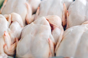 Moguća salmonela u pilećem zabatku iz Kauflanda