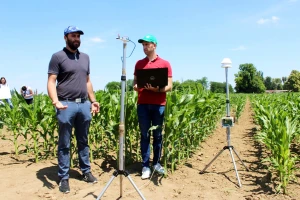 Na osječkom kukuruzu testiran pametni sustav za praćenje stanja usjeva: Projekt IoT – polje