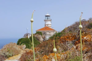 Na Palagruzu, na Palagruzu - po kapare