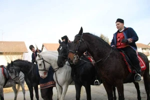Čuvaju slavonsku tradiciju pokladnog jahanja