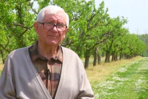 Solitarne pčele u voćnjaku Ive Pavića - njegov zadatak je pripremiti trstiku