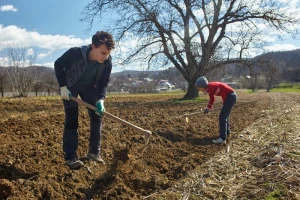 Novi natječaji raspisat će se krajem tjedna