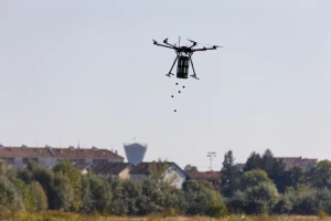 Moderno pošumljavanje: Mogu li bombice sijačice spasiti planet?