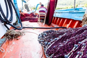Potpora u okviru mjere I.9.
