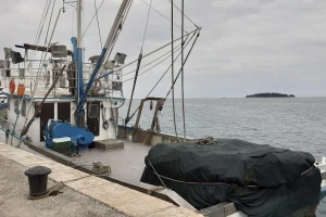 Potrošnja od 20 kilograma ribe po stanovniku godišnje svrstala nas je na 16. mjesto u EU