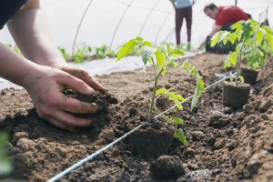 Više od 20 milijardi kuna za izgradnju prehrambenih i prerađivačkih kapaciteta
