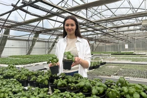Presadnice već od 30 centi: Agronomska škola ponovno otvara prodaju u travnju
