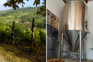 Prodaje vinograd, šumu daje gratis: Ovo su najatraktivnije ponude iz Oglasnika?
