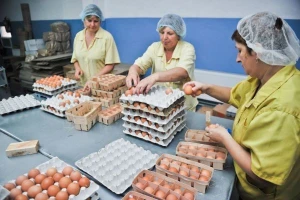 Sufinanciranje informiranja i promocije poljoprivrednih proizvoda