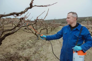Idealno je vrijeme za zimsko prskanje i zaštitu voćaka i vinove loze