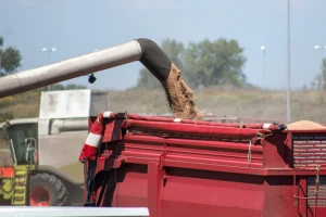 Velike zalihe pritisak cijenama žitarica