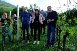 Stradalo gotovo 200 poljoprivrednih gospodarstava, pomoć stiže za dva mjeseca