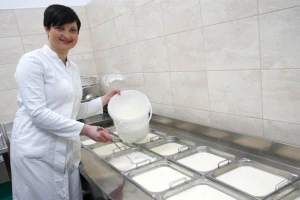 Dnevno proizvedu 300 litara mlijeka, prerade u sir i sve - prodaju
