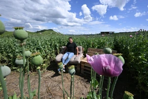 Traži se puno: Radno mjesto 'poljoprivrednik' nikada nije bilo kompleksnije