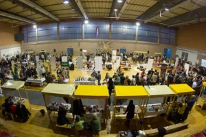 Međunarodni festival vina u Somboru