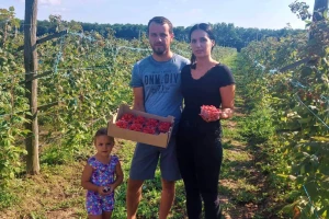 Aronija je bila hit, ali obitelj Bočkinac odlučila se za maline i borovnice