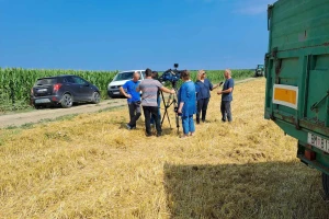 Ratari na nogama: Zar 100 kilograma pšenice vrijedi 4 kuglice sladoleda?!