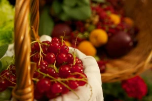 Agro Belgrade: Međunarodni sajam voćarstva, vinogradarstva i povrćarstva