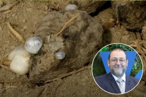 Što sa šećernom repom koja je ostala u tlu i kako će utjecati na jarine?