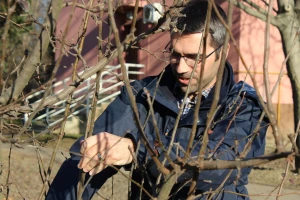 Voćarstvo i rasadničarstvo u Hrvatskoj devastirano - evo kako podići proizvodnju