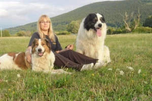 Tornjaci najbolji čuvari stada!